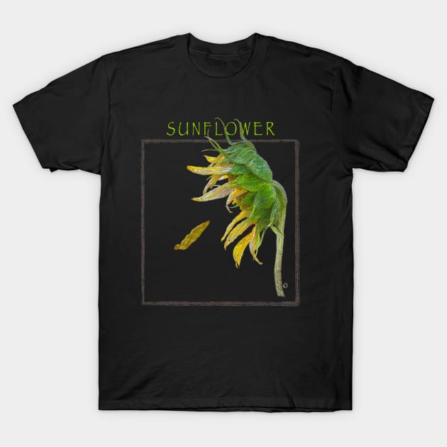 Sunset T-Shirt by The Orchard